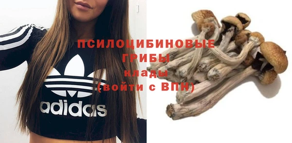 экстази Горняк