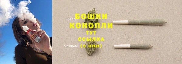 тгк Горнозаводск