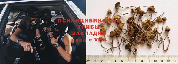 тгк Горнозаводск