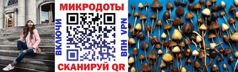 Галлюциногенные грибы GOLDEN TEACHER  продажа наркотиков  Няндома 